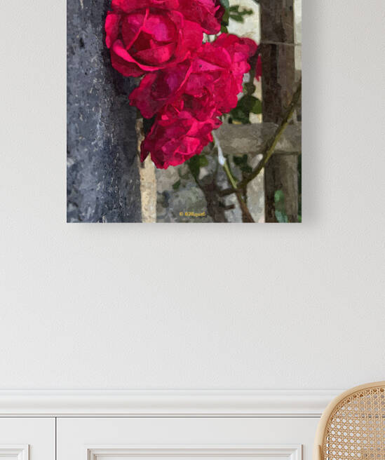 Red Roses by BRADLEY HIQUET