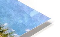 Alligator Sunning HD Metal print