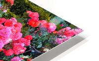 Pink Flowers HD Metal print