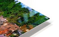 Sycamore Falls HD Metal print