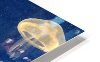 JellyFish HD Metal print