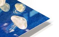 Jellyfish 2 HD Metal print