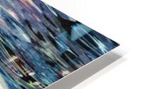 Dolphin 2 HD Metal print