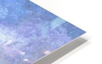 Florida Rainbow HD Metal print
