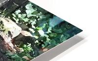 Mountain Lion HD Metal print