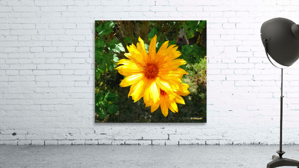 Yellow Flower 2 Wall Preview