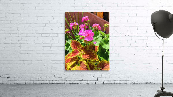 Pink Flowers  Wall Preview