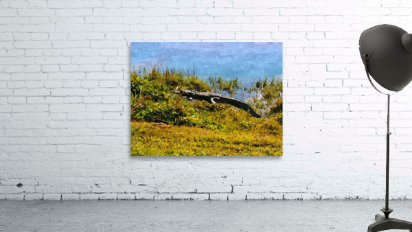 Alligator Sunning Wall Preview