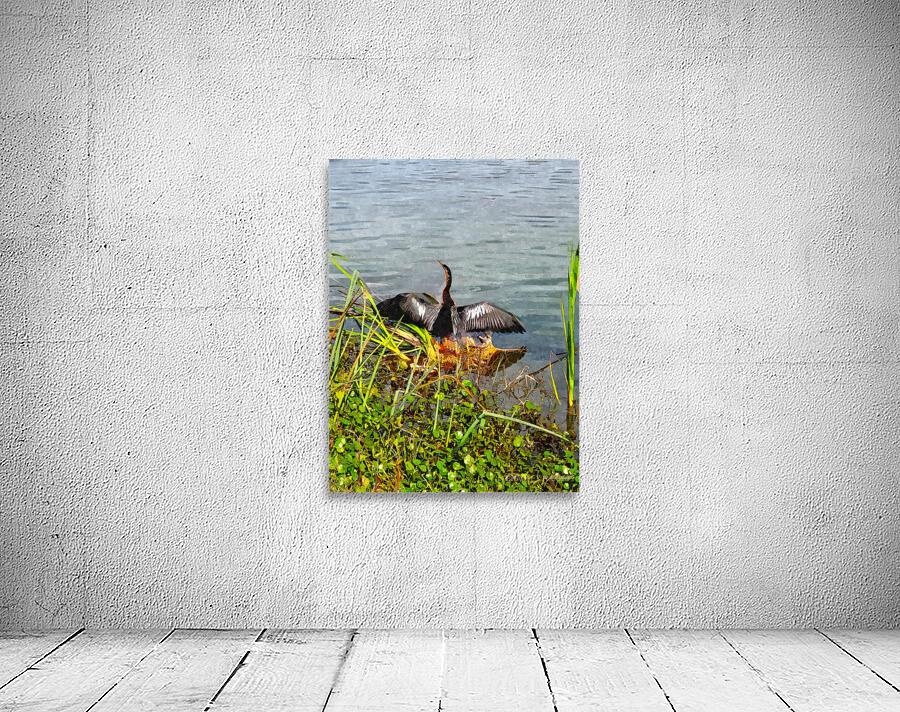 Anhinga Spreading Wings Wall Preview