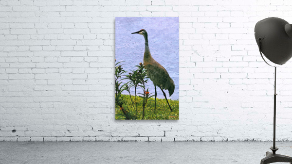 Crane by Pond Wall Preview