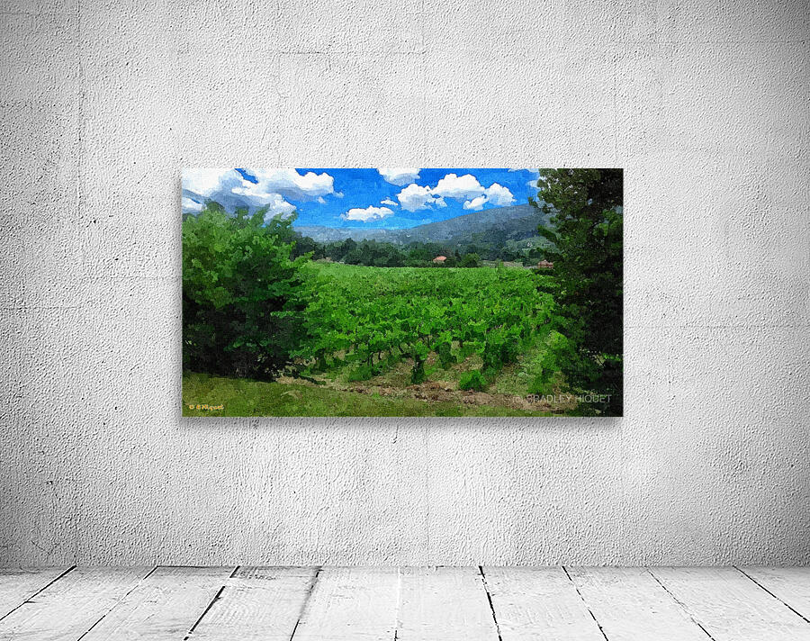 French Vinyard Mountains Wall Preview