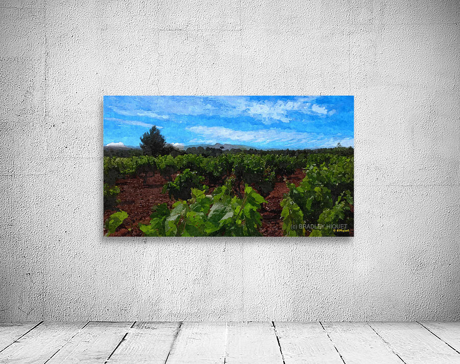 French Vinyard Wall Preview