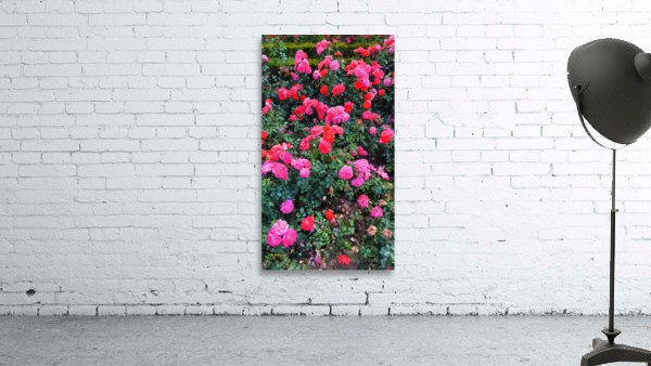 Pink Flowers Wall Preview