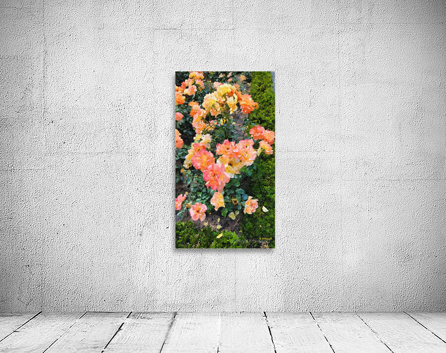 Orange Flowers Wall Preview