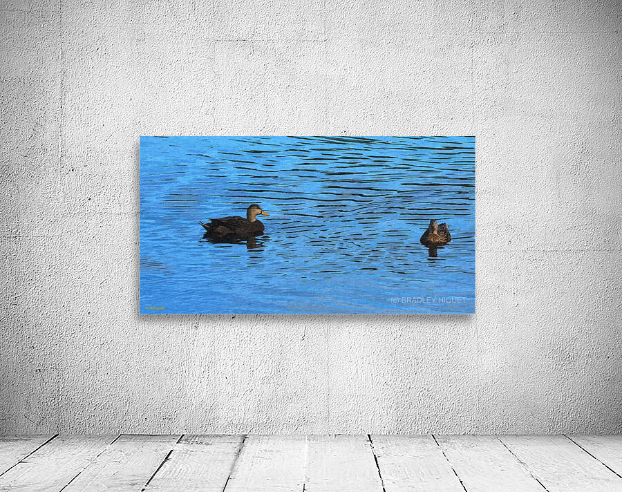 Ducks on a Pond Wall Preview