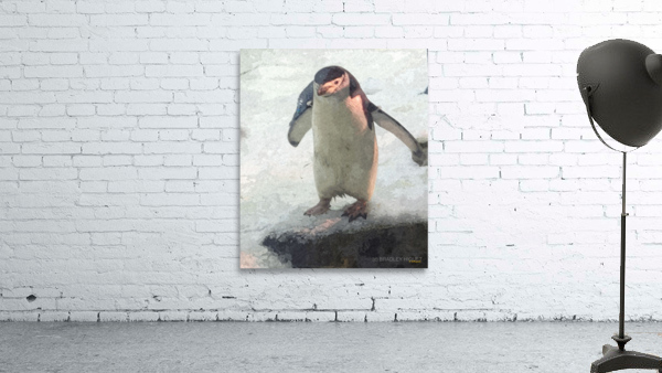 Lonely Penguin Wall Preview