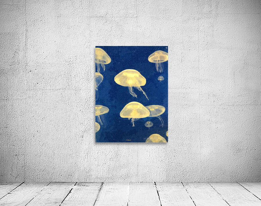 JellyFish Wall Preview