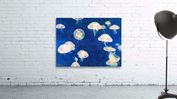Jellyfish 2 Wall Preview