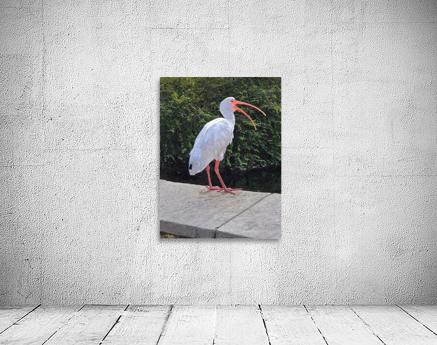 White Ibis Wall Preview