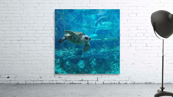 Sea Turtle Wall Preview