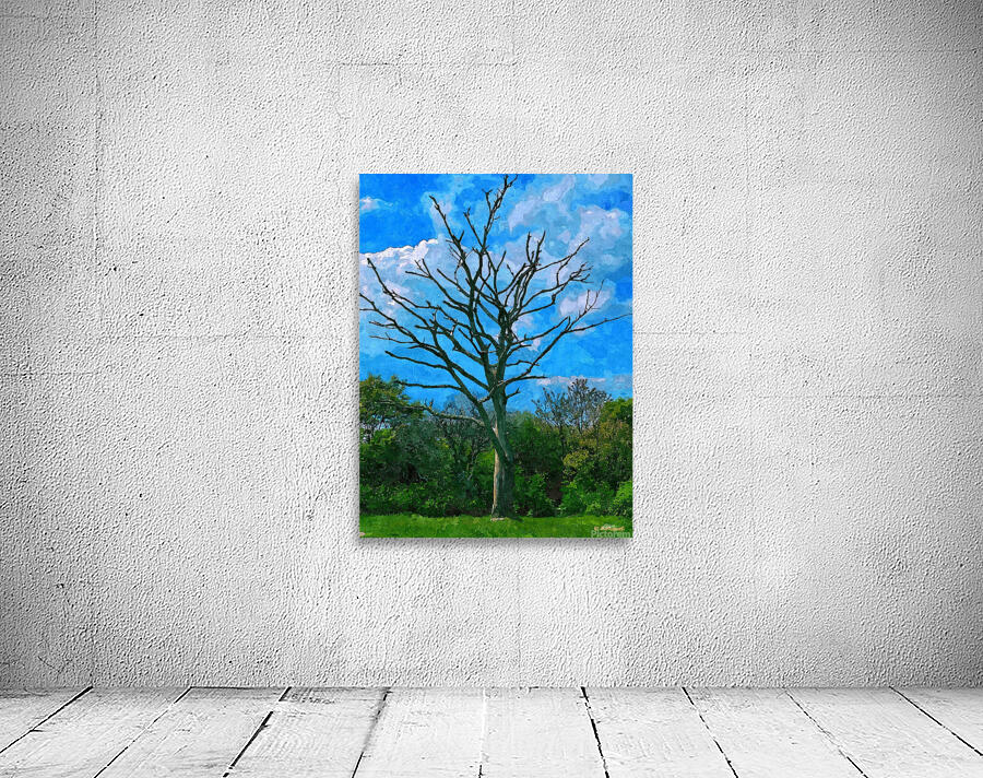Lone Tree Wall Preview