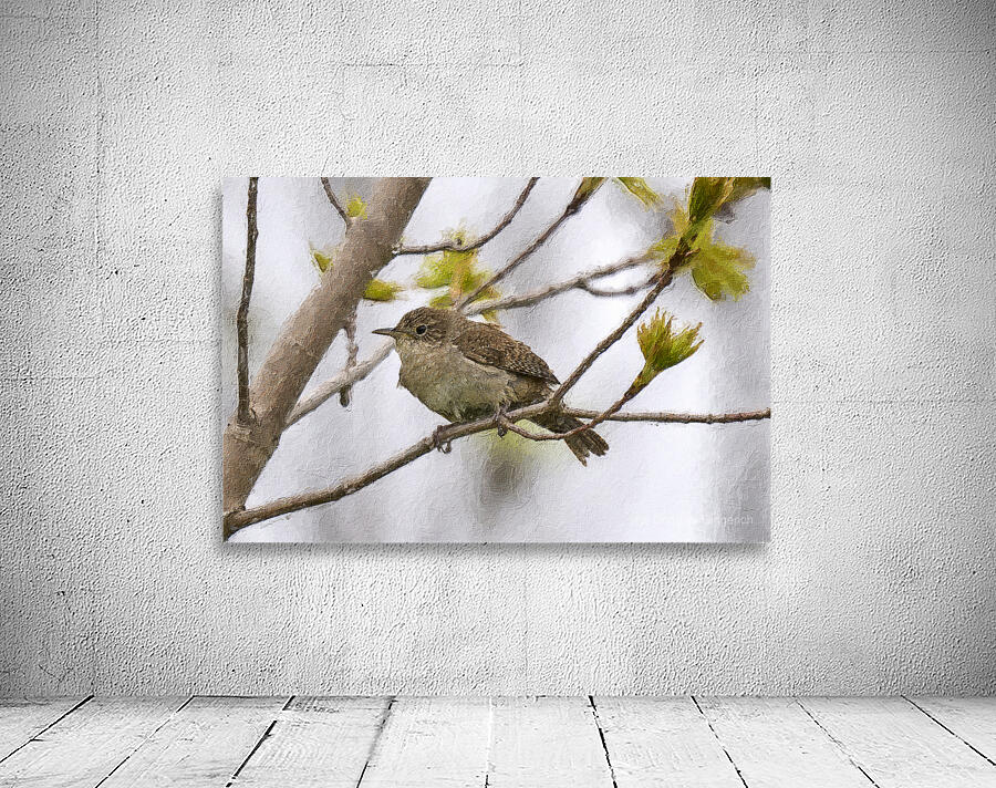 Bird in tree 2 Wall Preview
