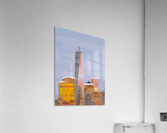 Freedom Acrylic Print