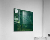 Turtles  Acrylic Print