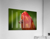 Ladybugs Acrylic Print