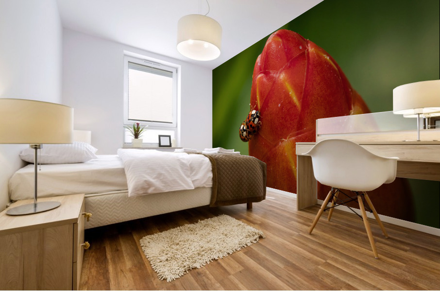 Ladybugs Mural print