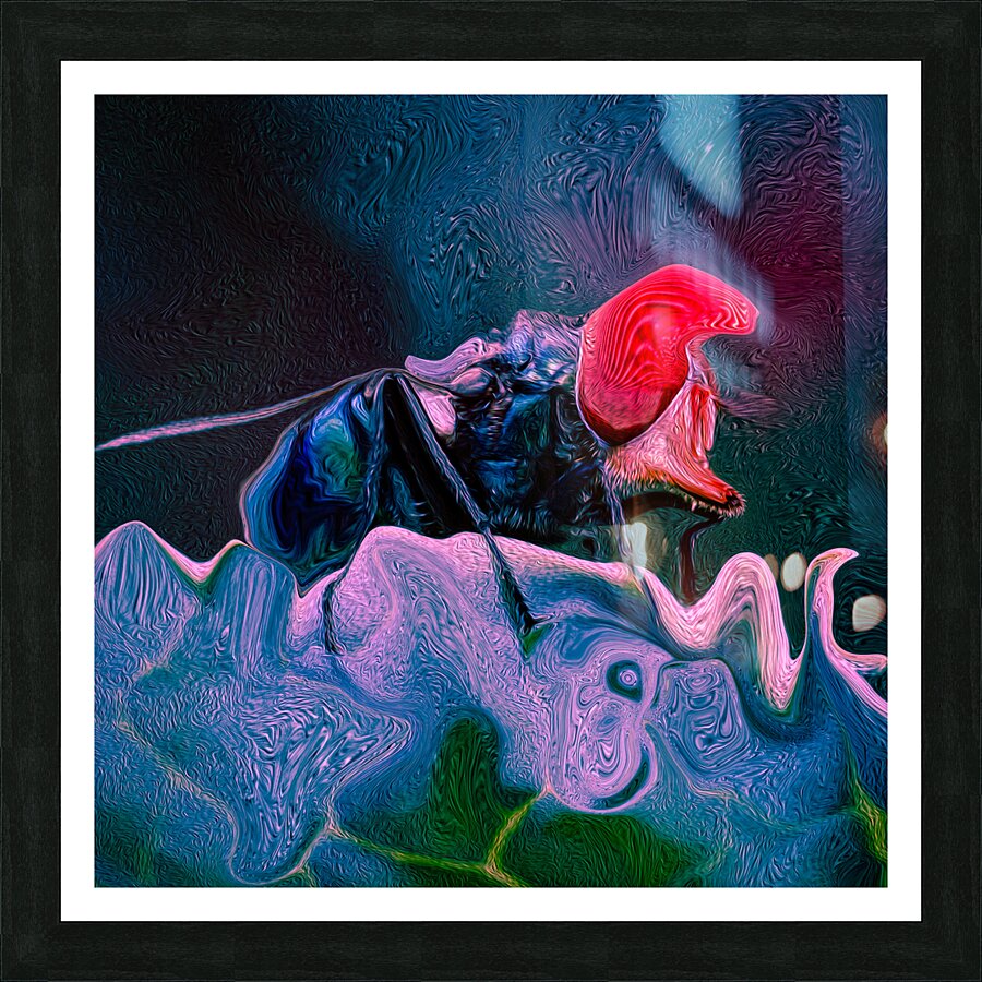 Fly Standing Still Picture Frame print