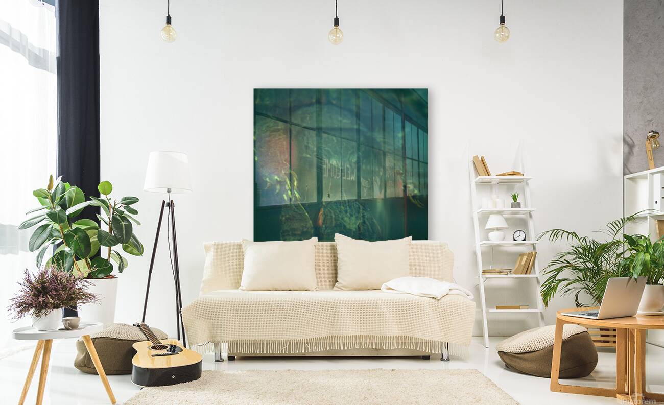 Turtles  Reproduction