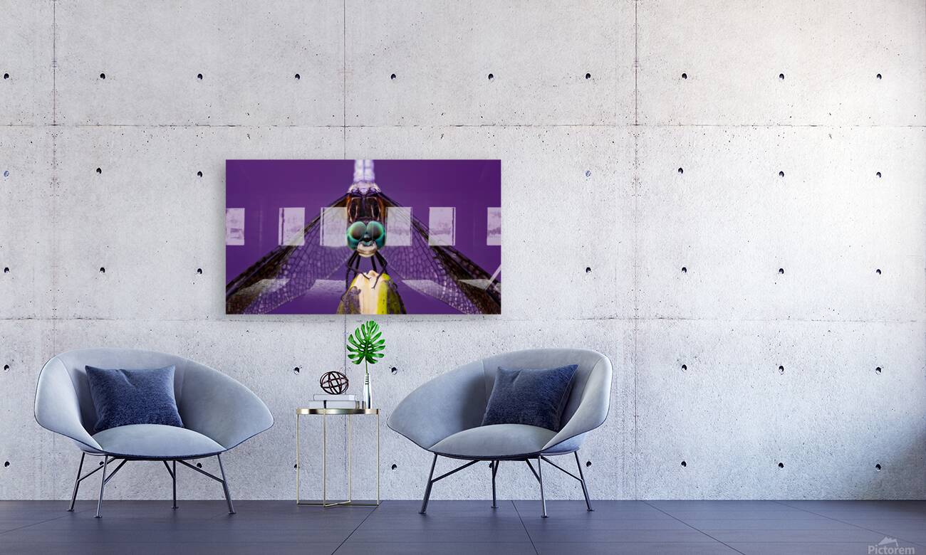 Dragonfly Staring Contest Reproduction