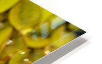Water Slide HD Metal print