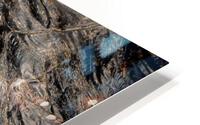 Gator Eye HD Metal print
