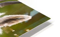 Wardrobe Change HD Metal print