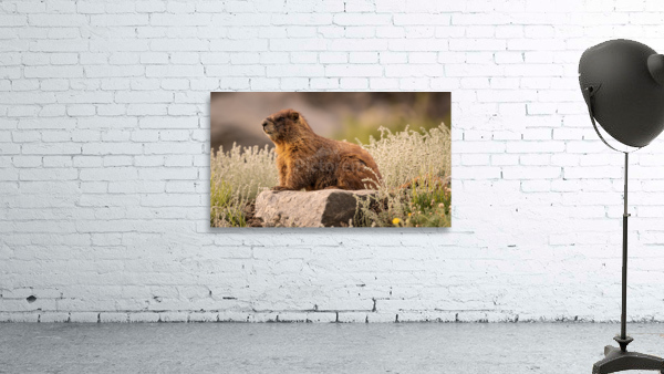 Rocky Mountain Sphinx Wall Preview