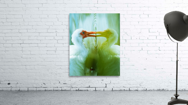 Reflections Wall Preview