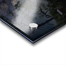 IMG 2542BatHouses Acrylic print