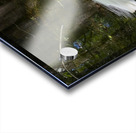 IMG 2789WhiteHeron Acrylic print