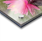 WaterLily2 Acrylic print