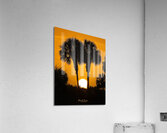 IMG 4425Sunset Acrylic Print