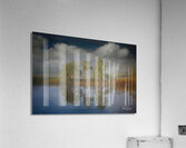 ThreeTrees copy Edit Acrylic Print