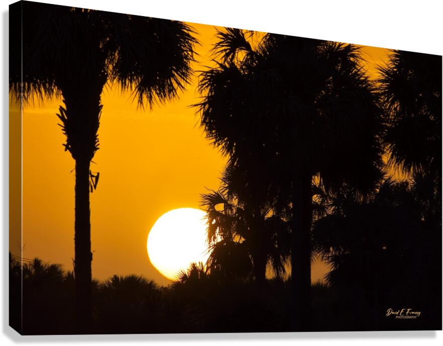 IMG 4400Sunset Canvas Print