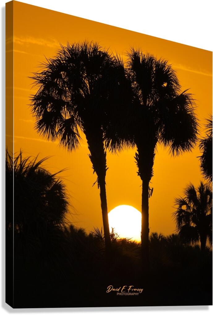 IMG 4425Sunset Canvas Print
