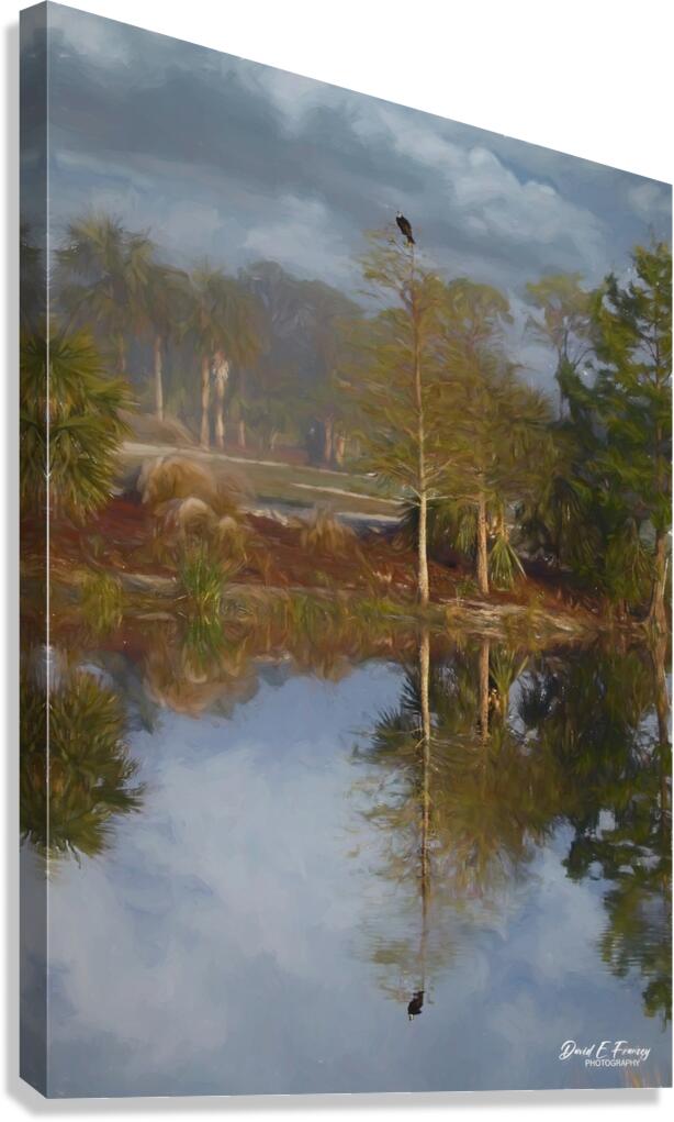 OspreyReflections Edit Canvas Print