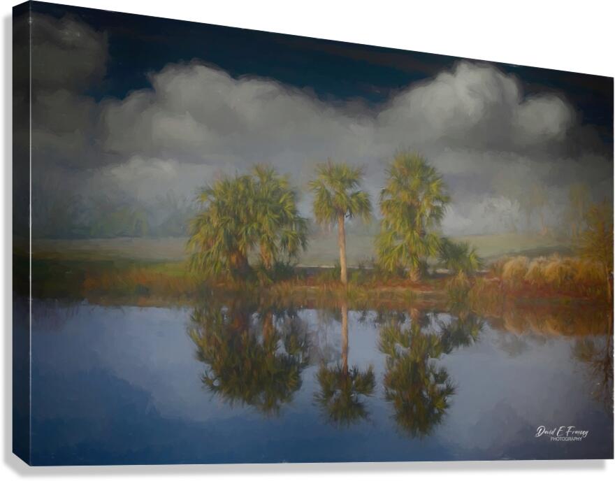 ThreeTrees copy Edit Canvas Print