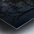 IMG 2542BatHouses Metal print