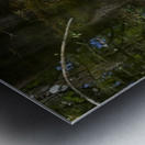 IMG 2789WhiteHeron Metal print