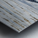 IMG 2945Gator Metal print